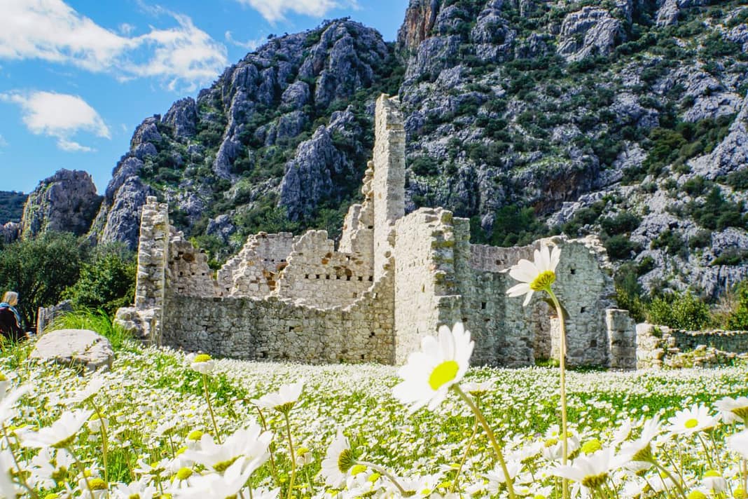 Olympos Ruins behind flowers